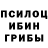 Галлюциногенные грибы мицелий RAZMY THAJUDEEN
