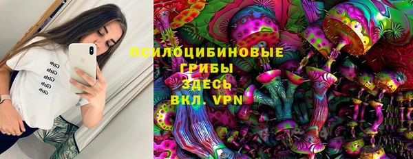 PSILOCYBIN Беломорск