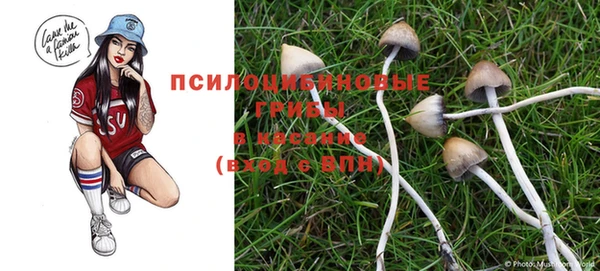 дмт Белоозёрский