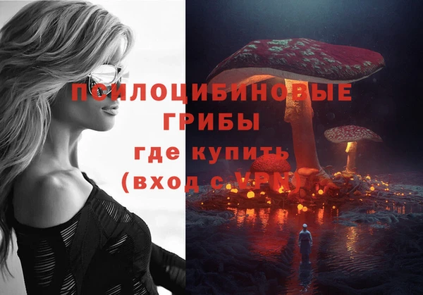 PSILOCYBIN Беломорск