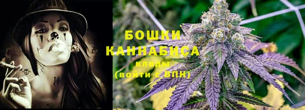 PSILOCYBIN Беломорск