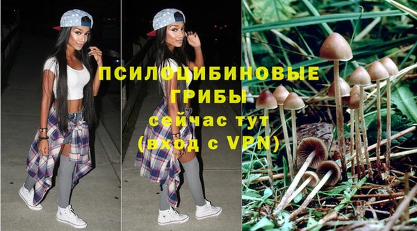 дмт Белоозёрский