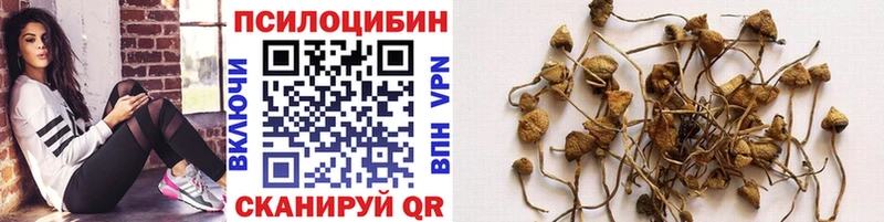 Галлюциногенные грибы ЛСД  закладка  Бутурлиновка 