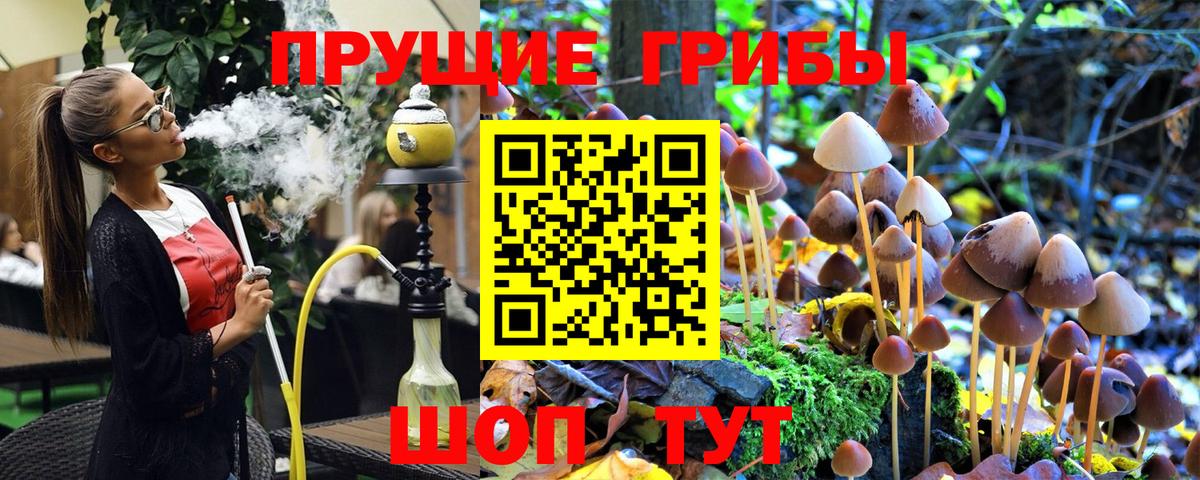где продают   Галлюциногенные грибы мицелий  Галлюциногенные грибы ЛСД  Вход с VPN  Бутурлиновка 