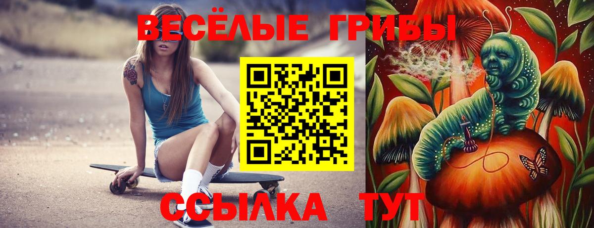 Псилоцибиновые грибы MAGIC MUSHROOMS Бутурлиновка