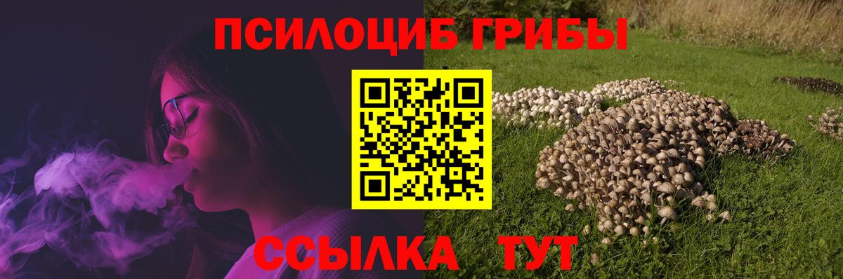 Галлюциногенные грибы прущие грибы  Бутурлиновка  Псилоцибиновые грибы Psilocybine cubensis 